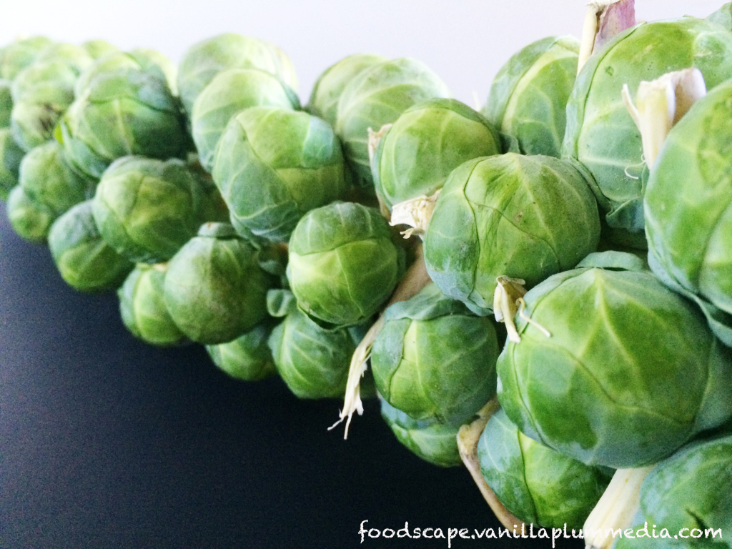brussel sprout stalk