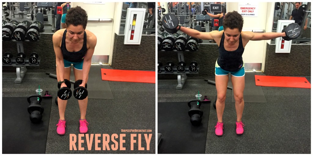 reverse-fly-lifting-for-a-strong-back-and-better-posture