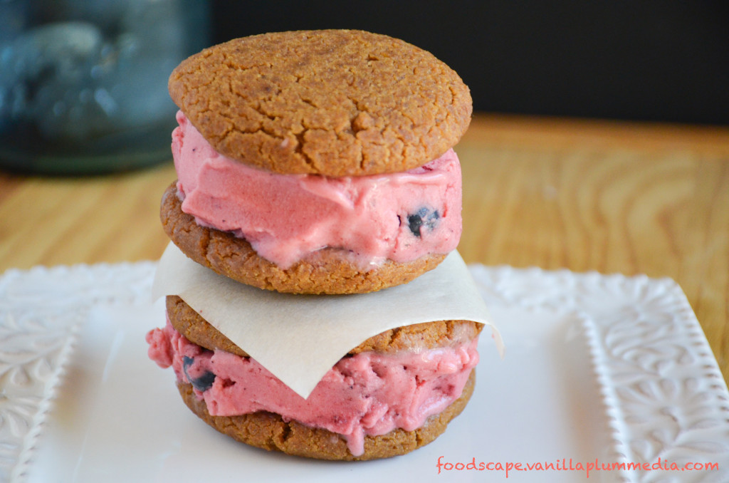 Sweet Corn and Berry Ice Cream Sandwiches with real blueberries