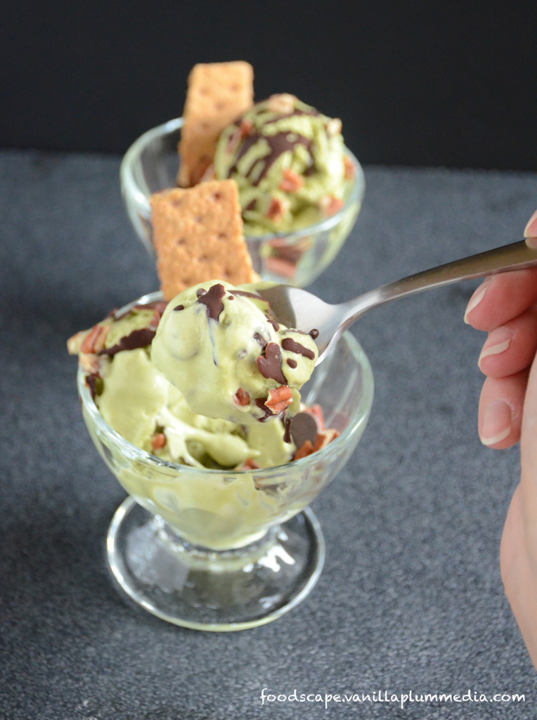 Green Monster Mint Choc Chip Ice Cream - This ice cream is amazing! Not only is it dairy-free, but it comes with a serving of veggies. But no one will know unless you tell them...