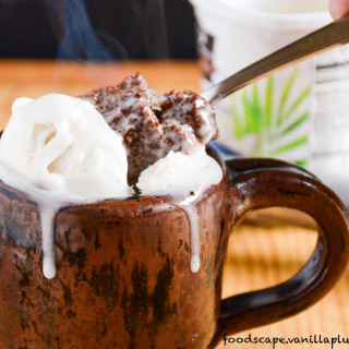 moist chocolate mug cake - This cake actually tastes better because it does not have dairy and eggs. It's made to be exactly as it is and you will love it!
